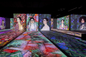 Klimt Port Des Lumieres Gallery