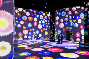 Klimt Port Des Lumieres Gallery