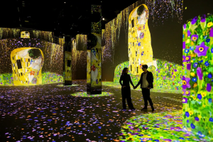 Klimt Port Des Lumieres Gallery