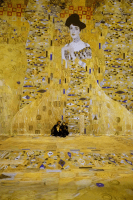 Klimt Port Des Lumieres Gallery