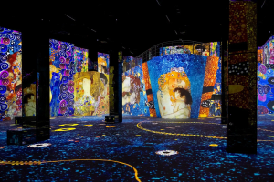 Klimt Port Des Lumieres Gallery